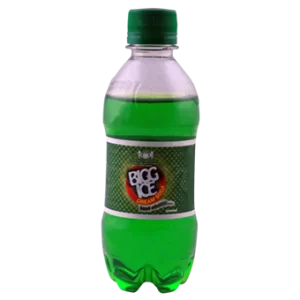 Bigg Ice Cream Soda 300 ML